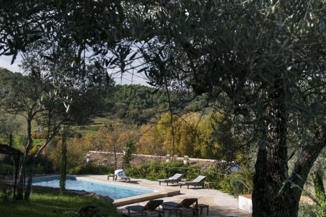 Photo of Outdoor in Constantina