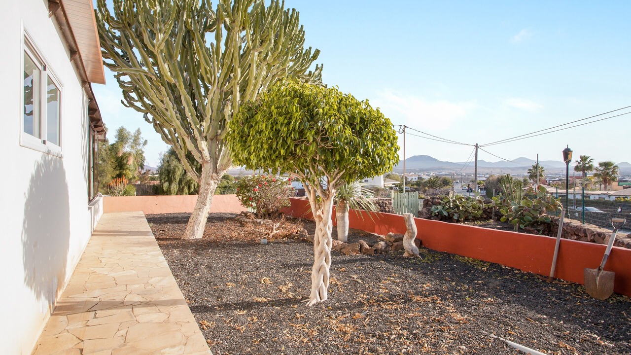 Photo of Outdoor in Lajares