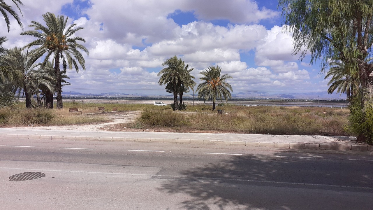 Photo of Outdoor in Santa Pola