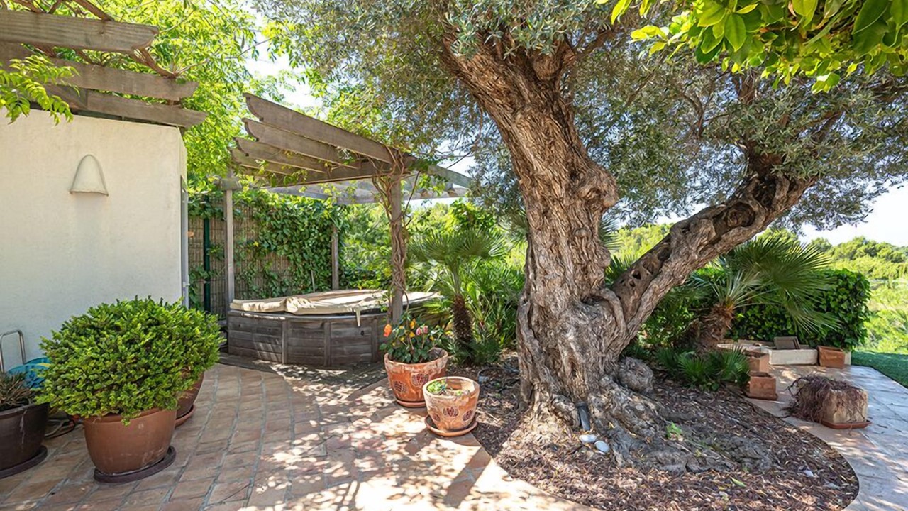 Photo of Outdoor in Bernia