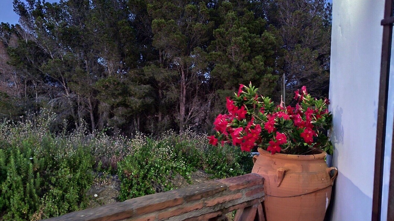 Photo of Outdoor in El Borge