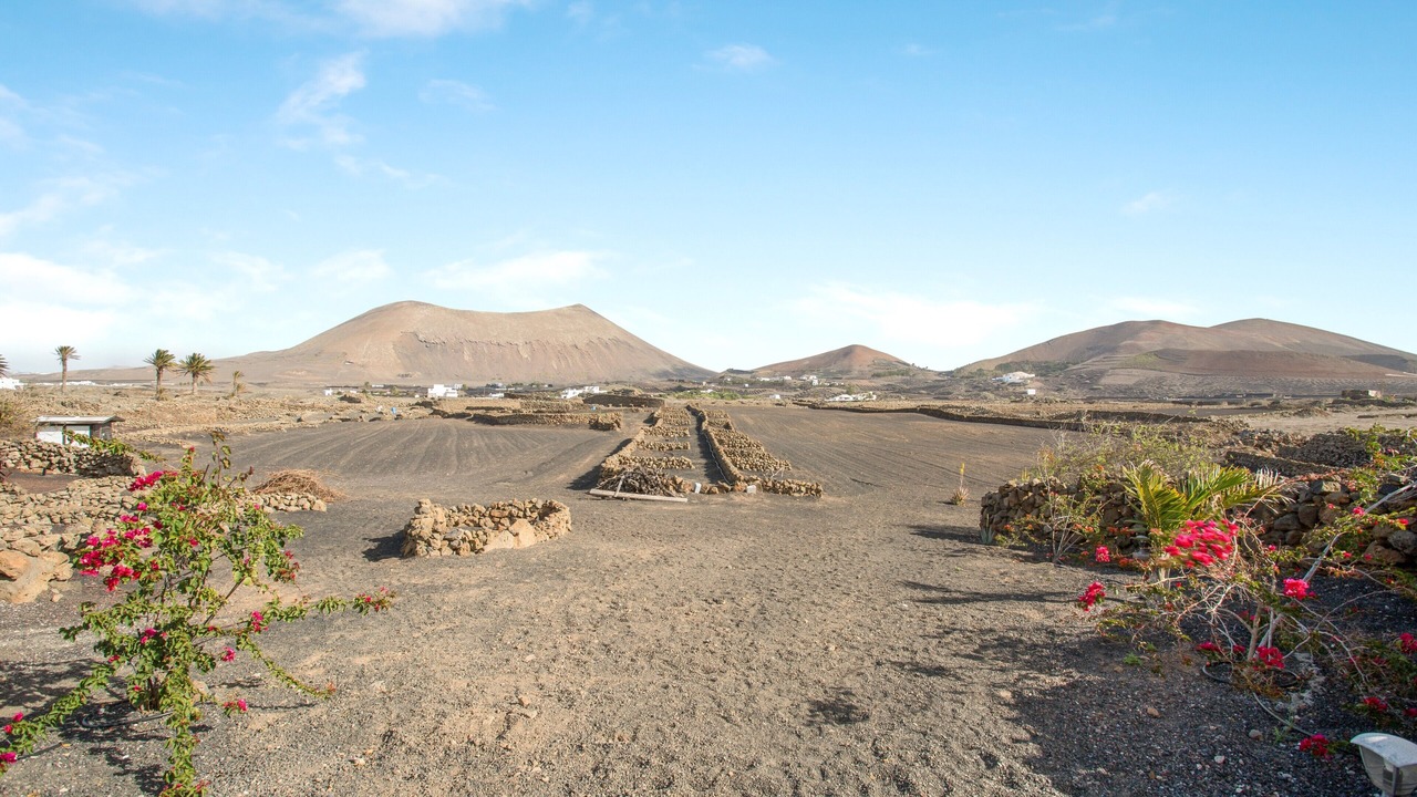 Photo of Others in Tinajo