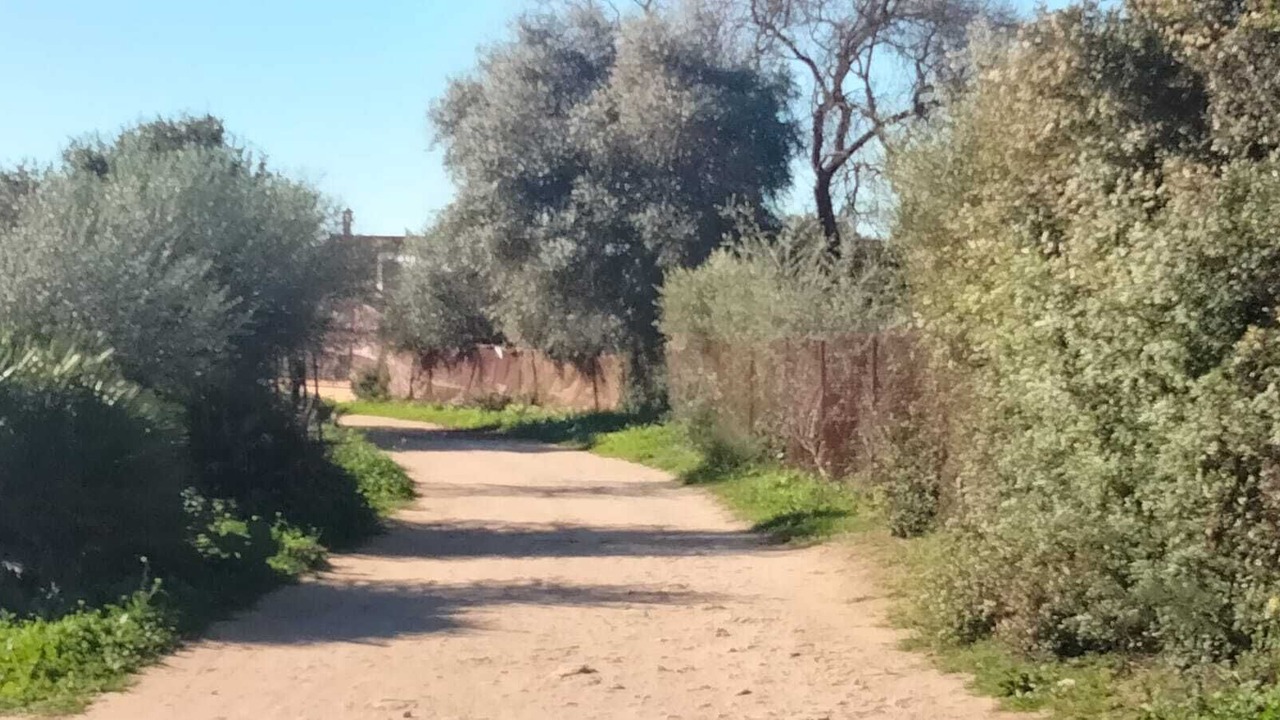 Photo of Outdoor in Las Abiertas