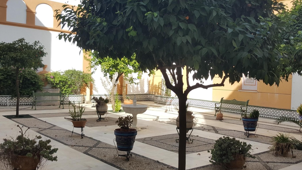 Photo of Outdoor in La Trinidad-San Juan y Todos los Santos