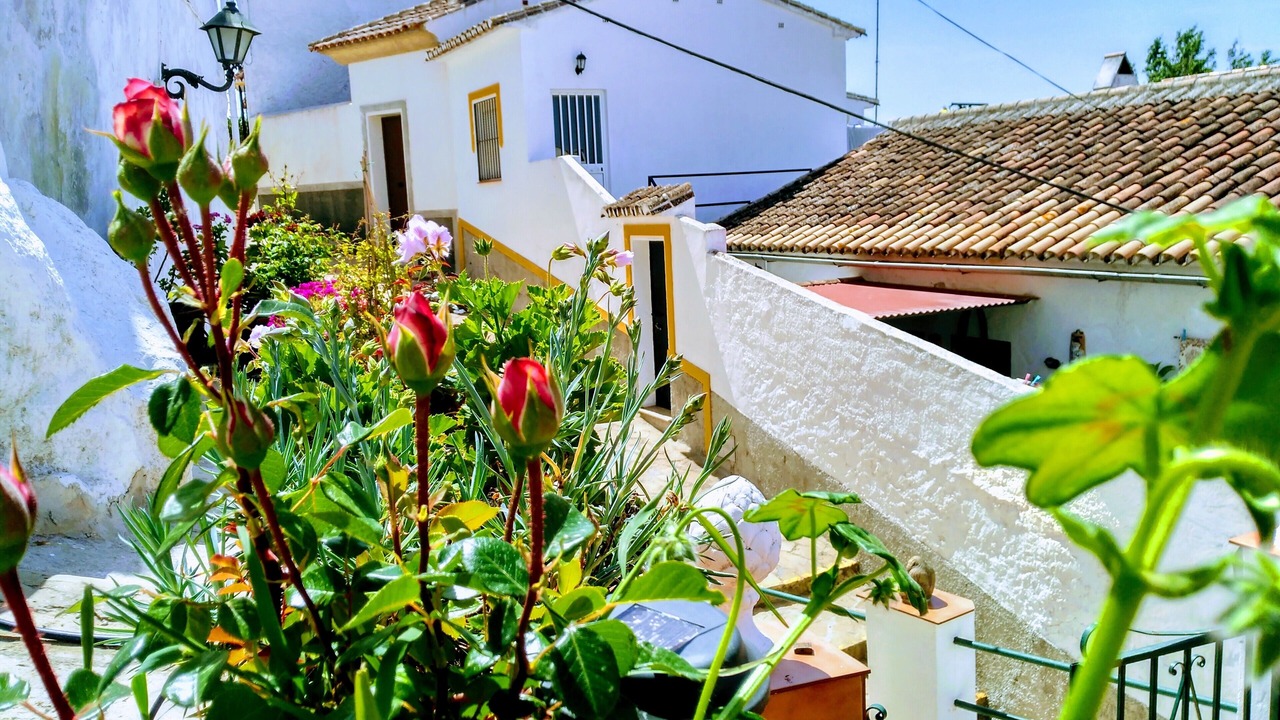 Photo of Others in Carratraca