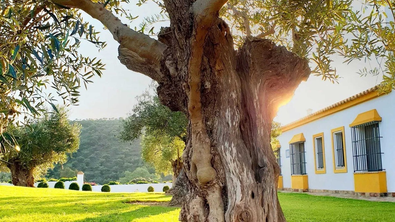 Photo of Outdoor in Puerto Serrano