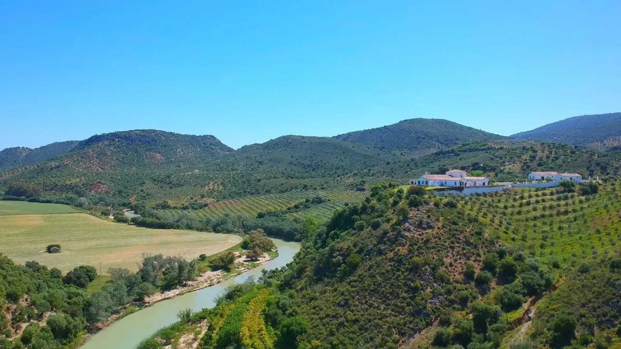 Photo of Others in Puerto Serrano