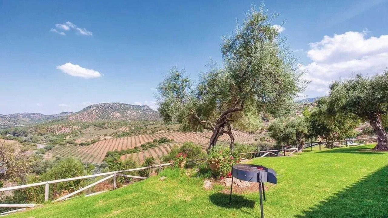 Photo of Outdoor in Puerto Serrano