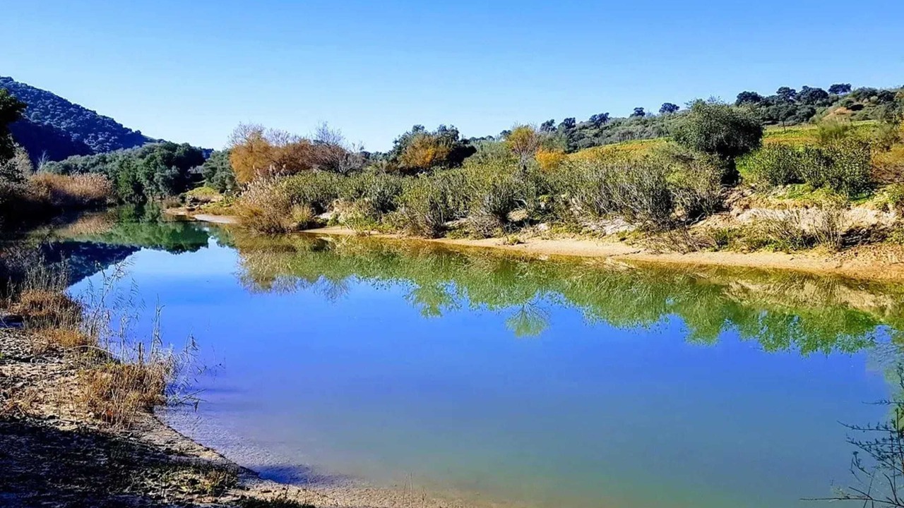 Photo of Others in Puerto Serrano