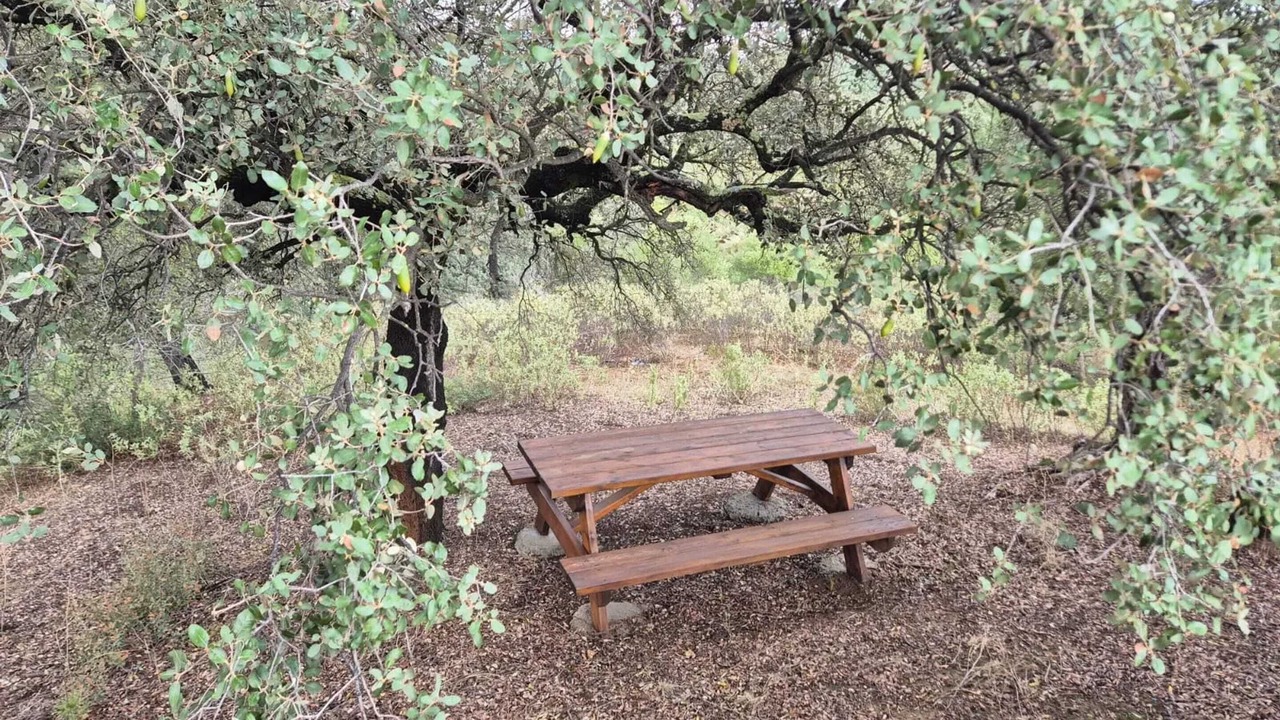 Photo of Outdoor in Puerto Serrano