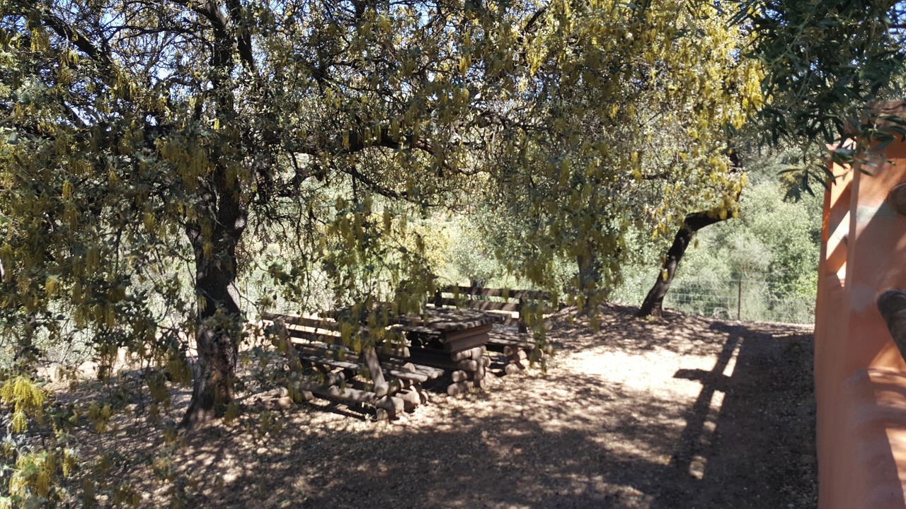 Photo of Outdoor in Puerto Serrano