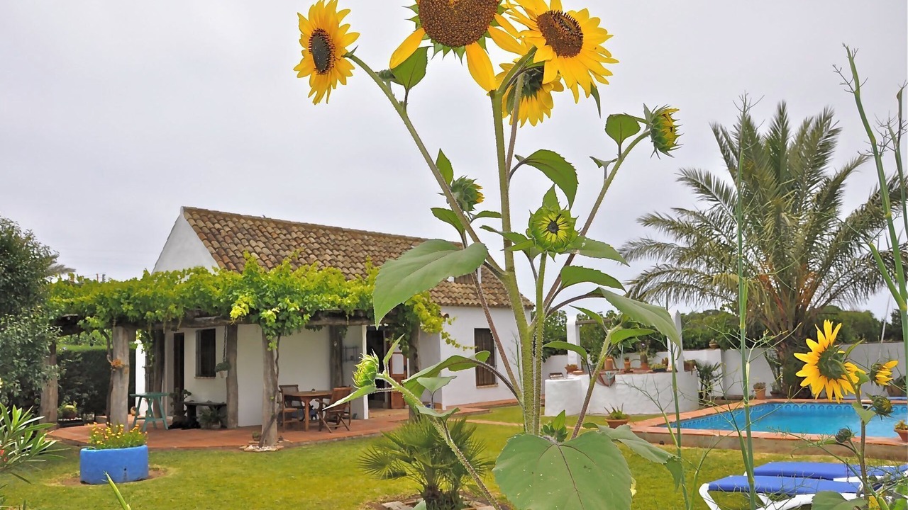 Photo of Others in El Palmar