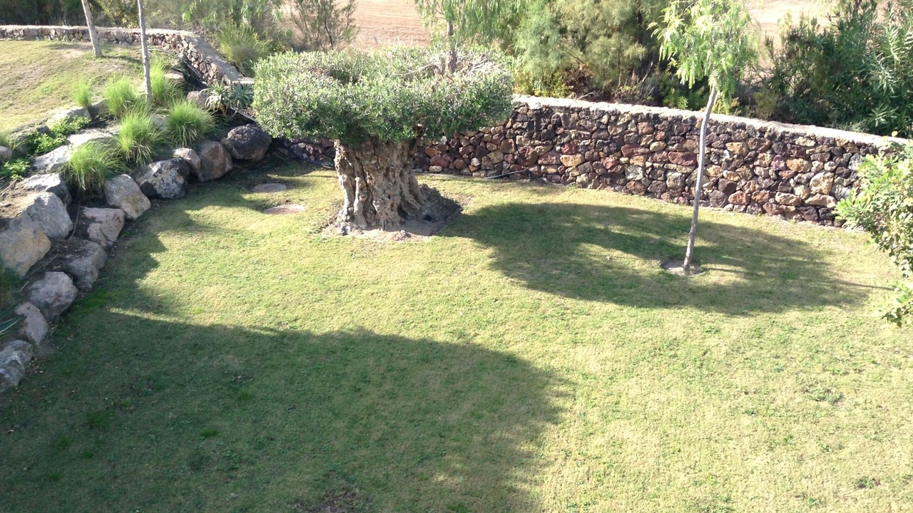 Photo of Outdoor in Playa Macenas