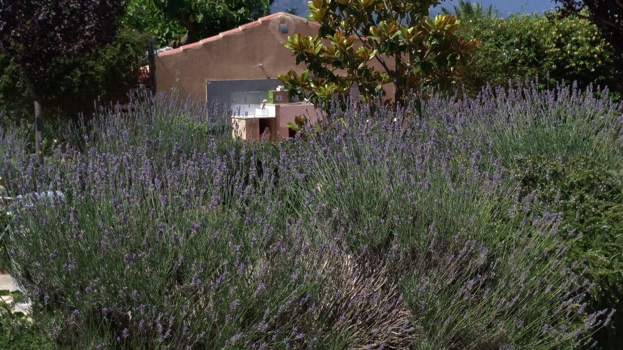 Photo of Outdoor in Millena