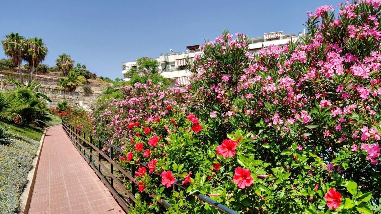 Photo of Outdoor in Benagalbon
