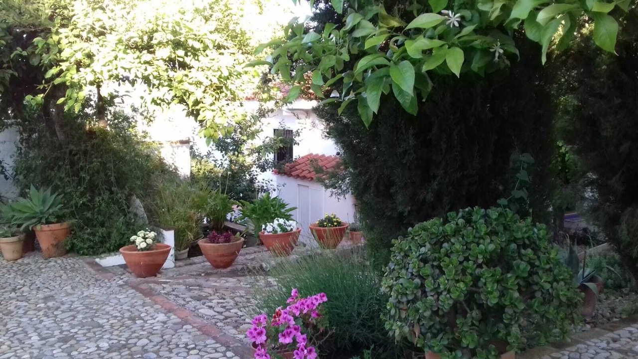 Photo of Outdoor in Prado del Rey