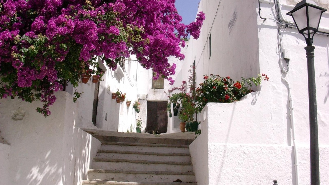 Photo of Outdoor in Jerez de la Frontera