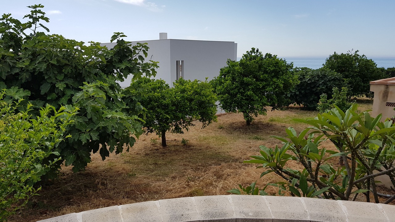 Photo of Patio Balcony in Benalmadena Costa