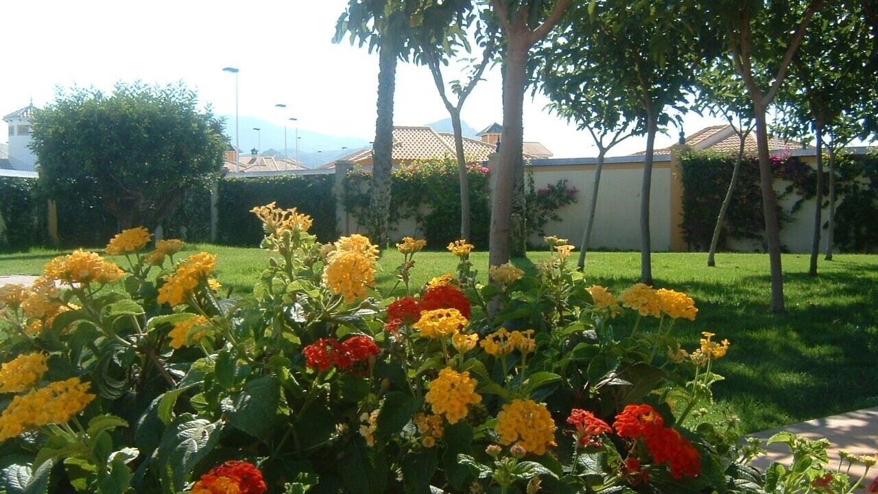 Photo of Outdoor in Mazarron