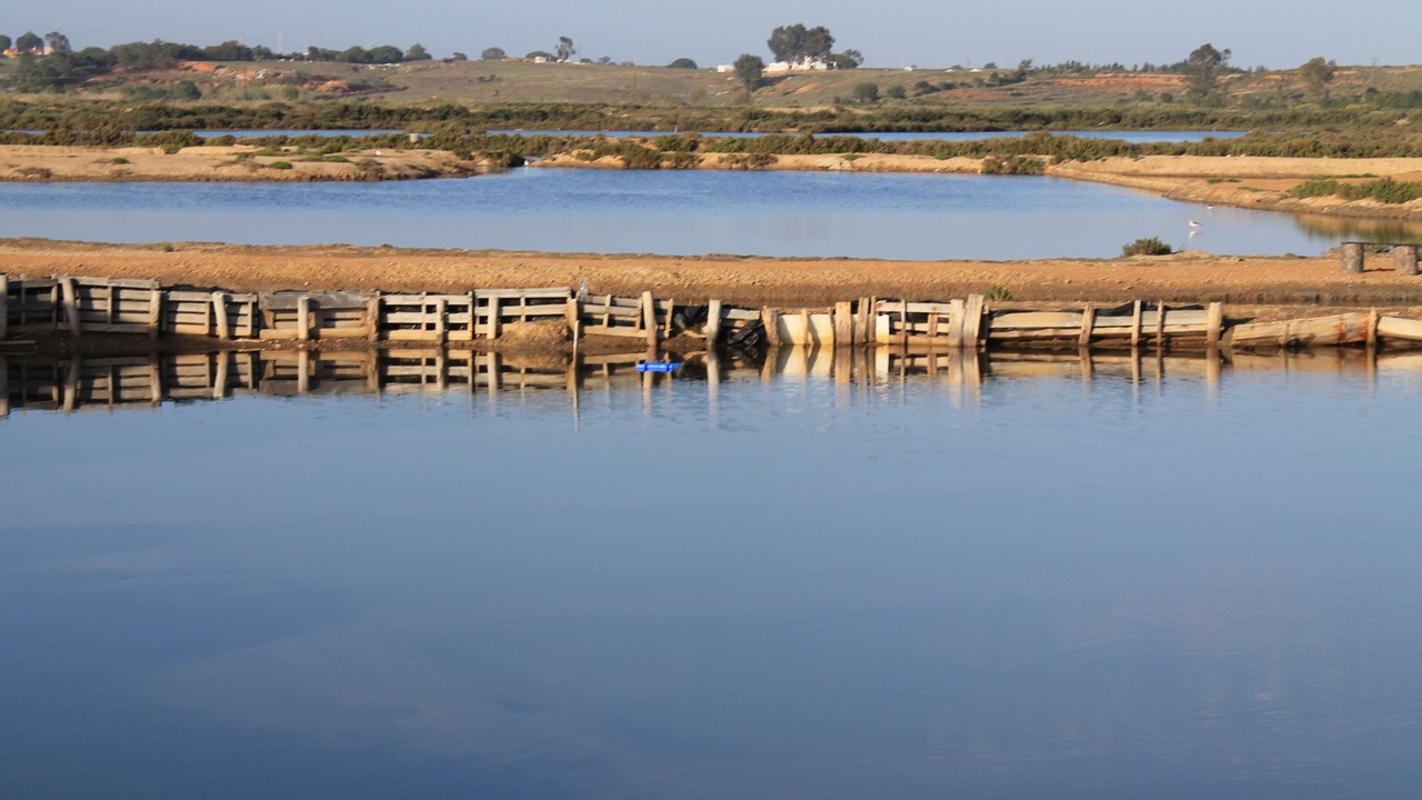 Photo of Outdoor in Pozo Del Camino