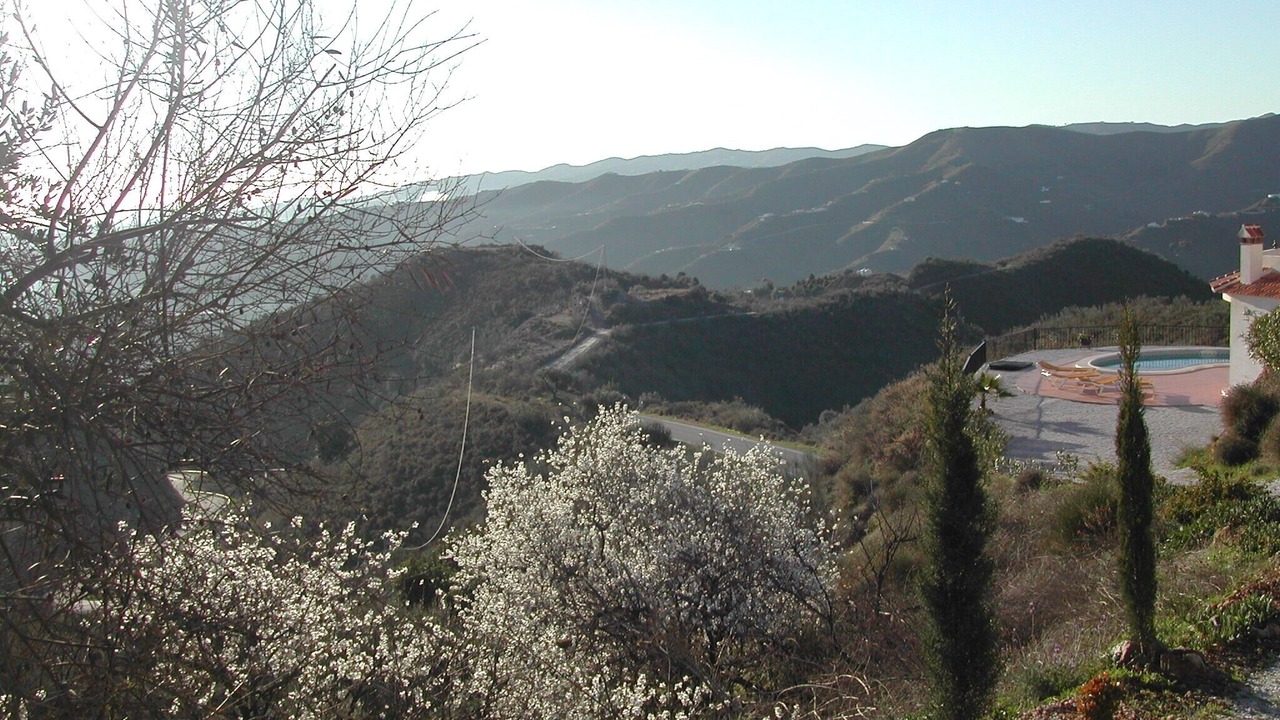 Photo of Others in Comares