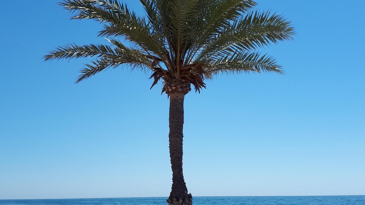 Photo of Others in Santa Pola