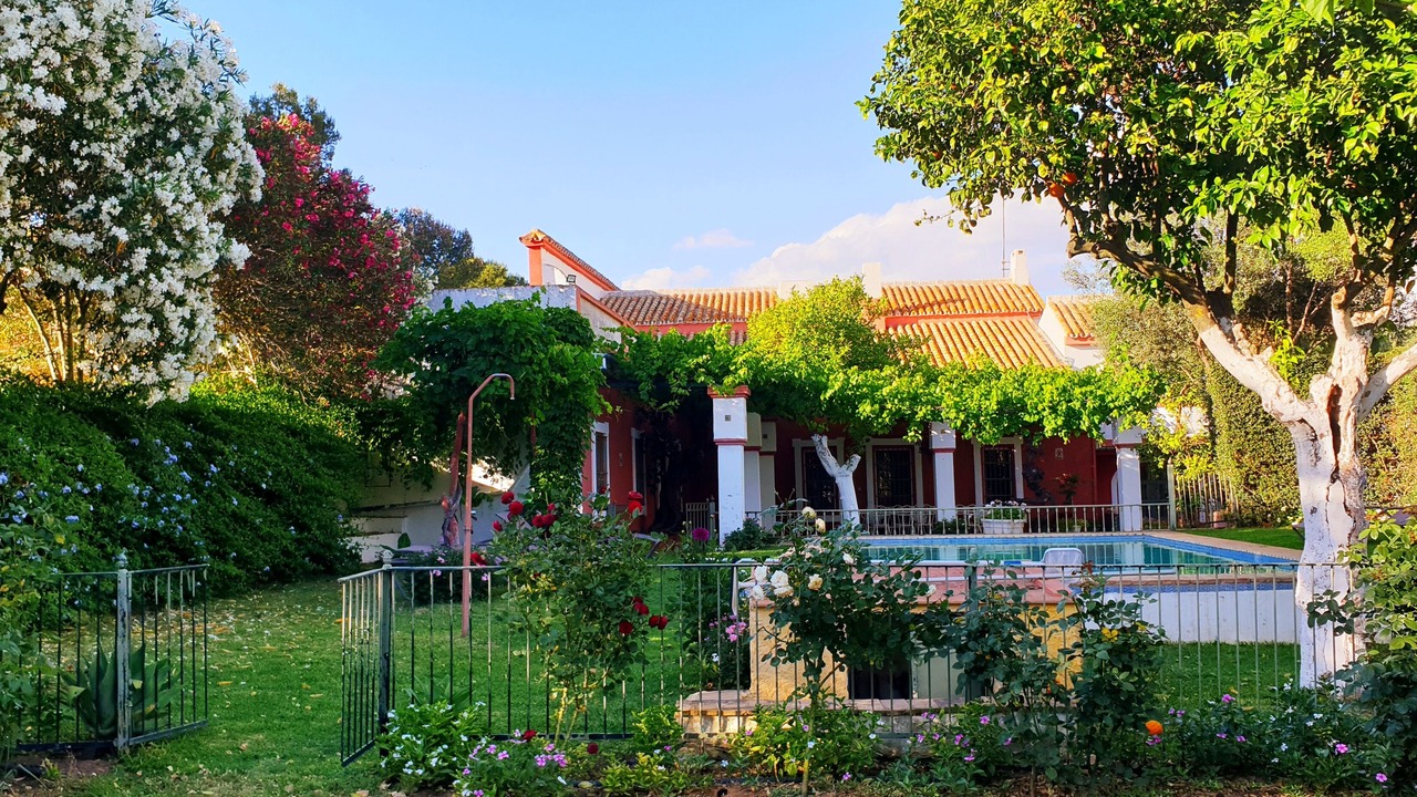 Photo of Outdoor in Carmona