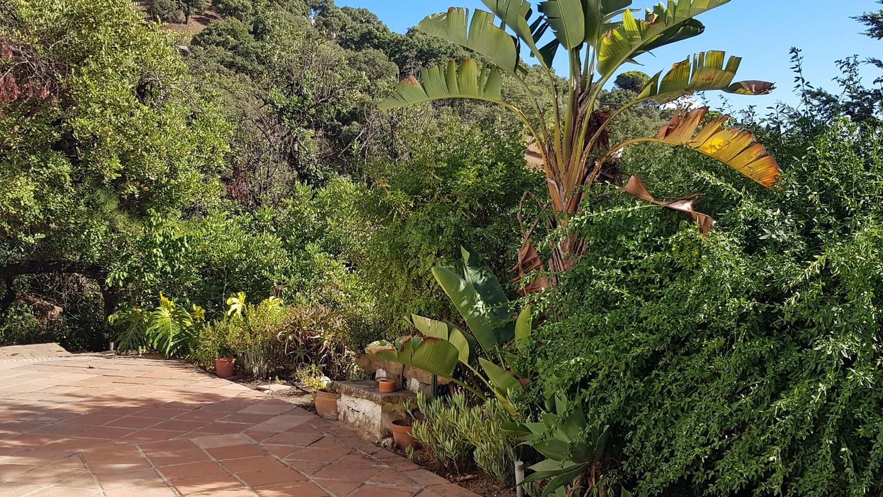 Photo of Outdoor in Casares