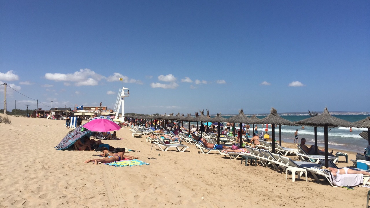 Photo of Others in San Fulgencio