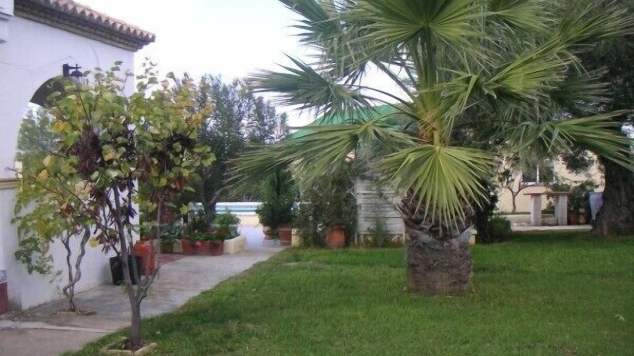 Photo of Outdoor in Marchena