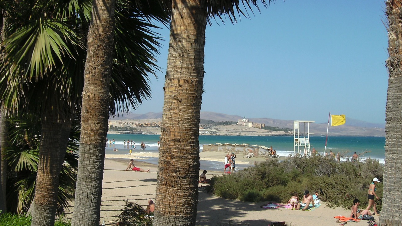 Photo of Others in Bahia Calma