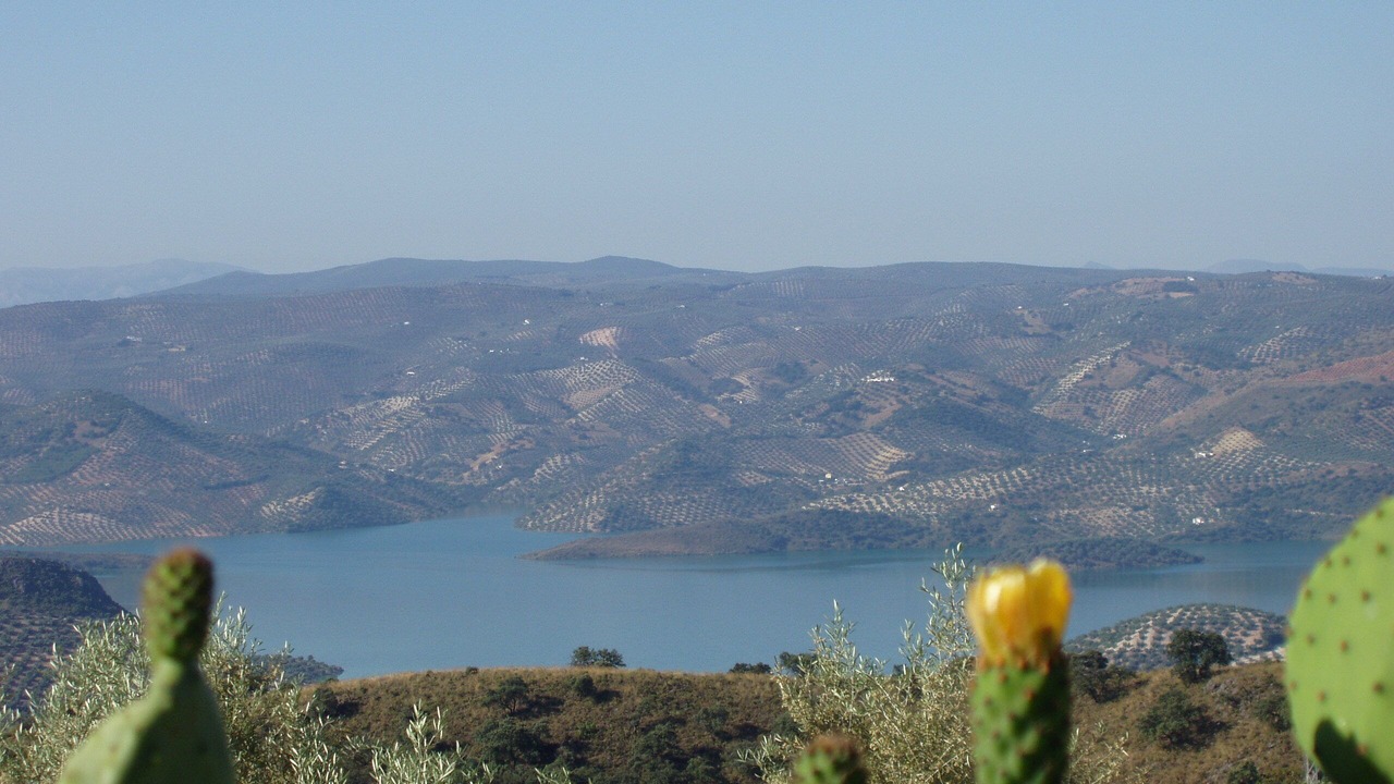 Photo of Others in Rute