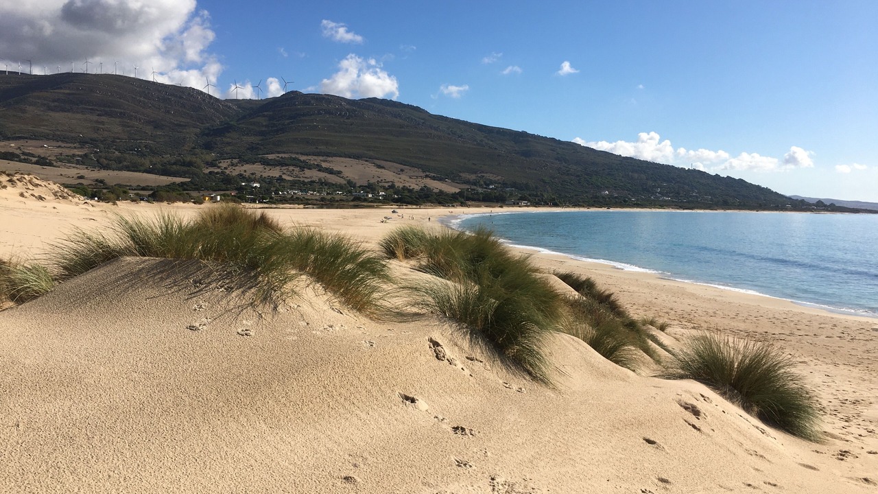 Photo of Others in Bahia de Casares