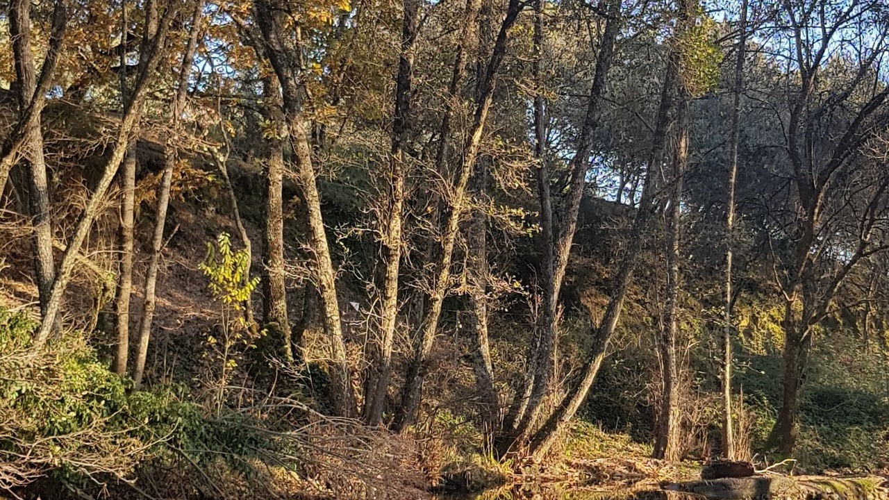 Photo of Outdoor in Arenas de San Pedro