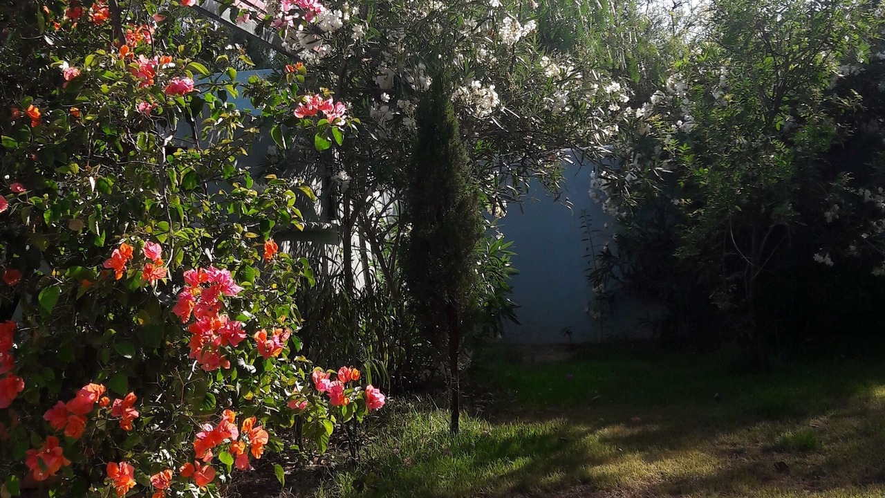 Photo of Outdoor in Arahal