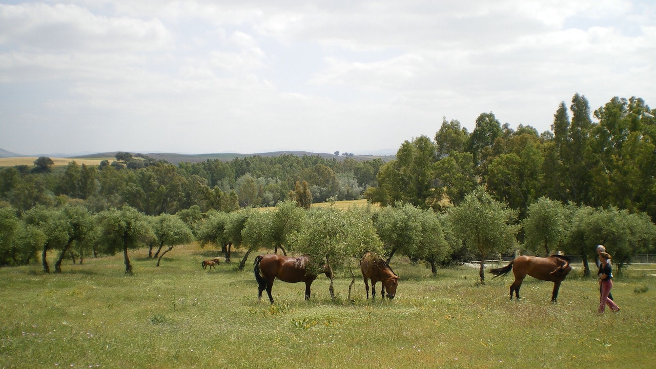 Photo of Outdoor in Villamartin