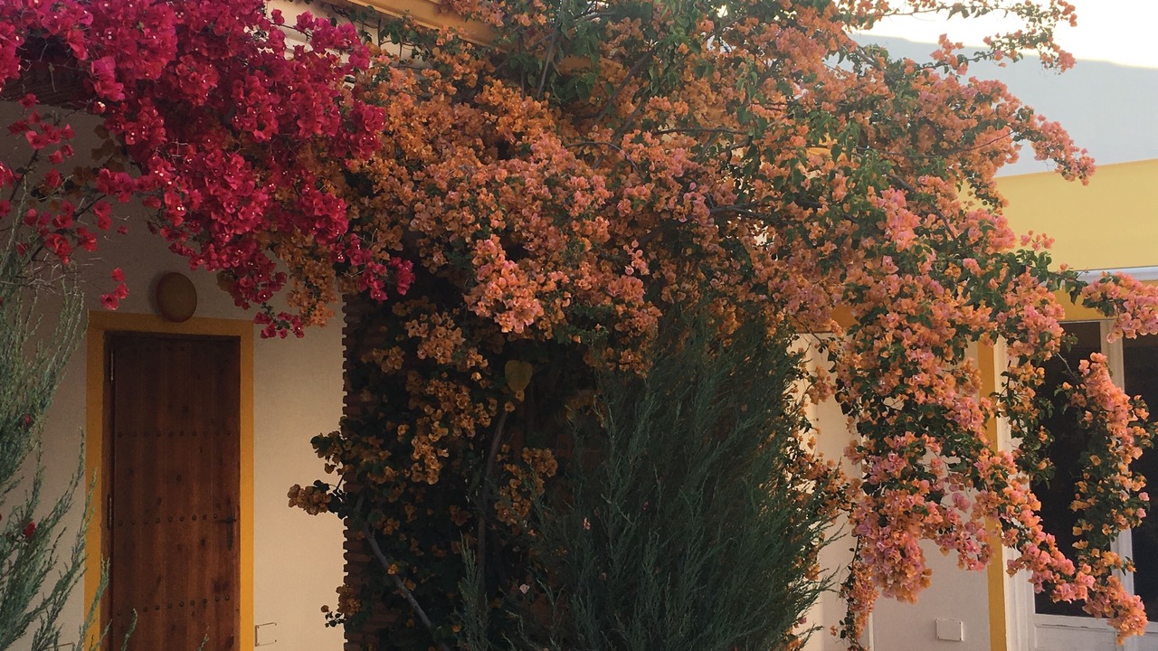 Photo of Outdoor in Villamartin