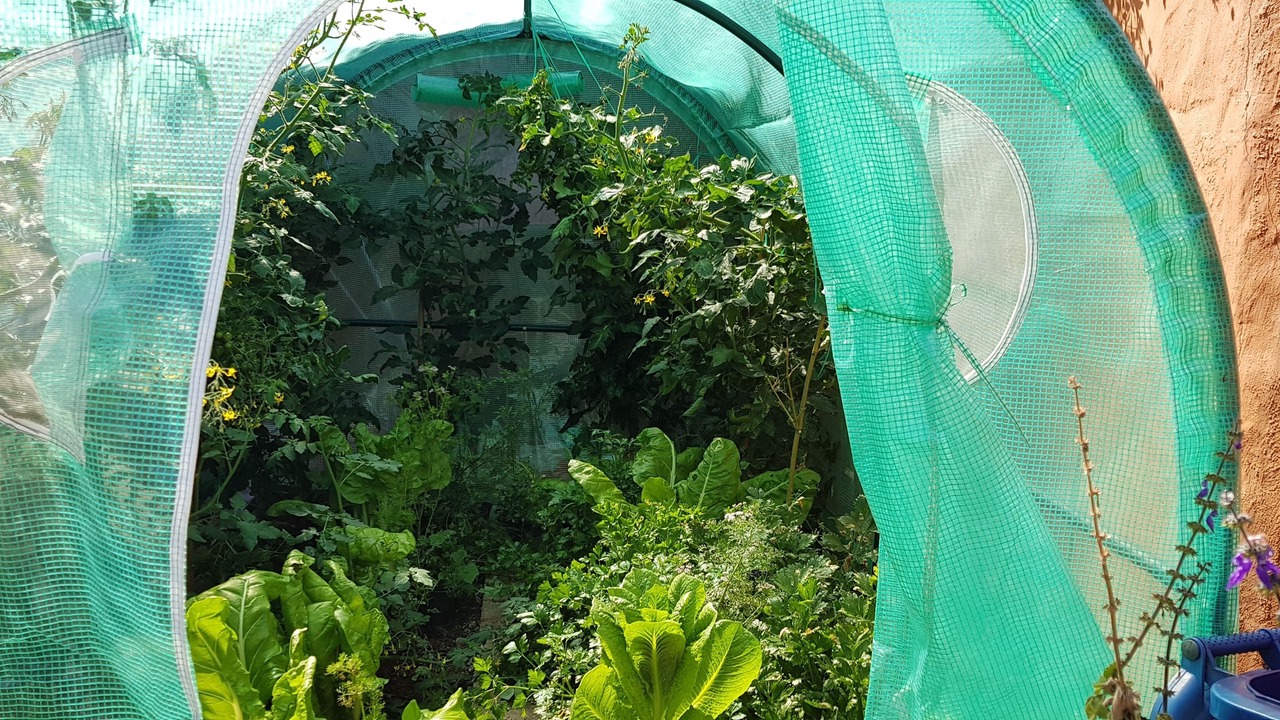 Photo of Outdoor in Firgas