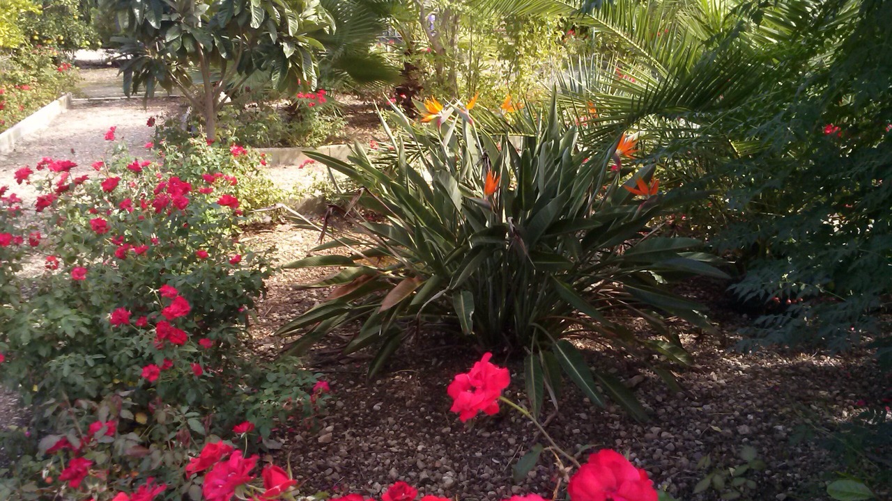 Photo of Outdoor in Lora Del Rio
