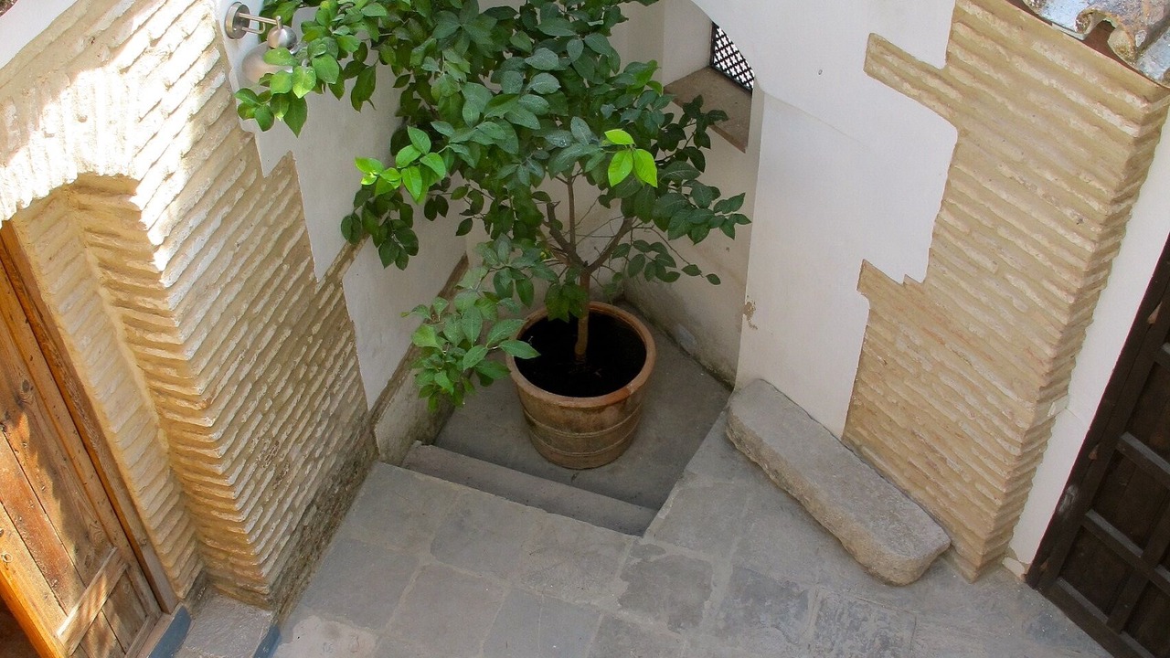 Photo of Outdoor in Arcos de la Frontera