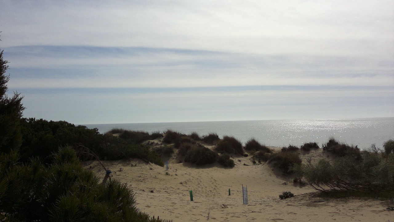 Photo of Others in Huelva