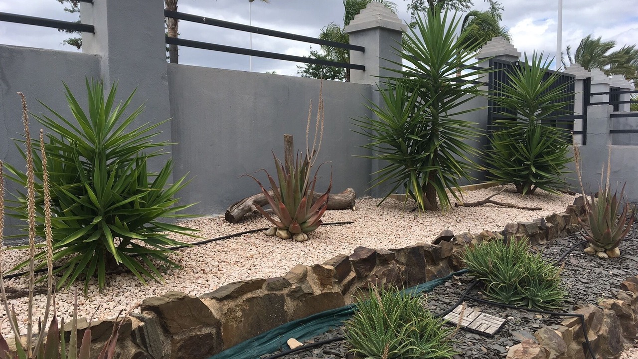 Photo of Outdoor in Costa Esuri