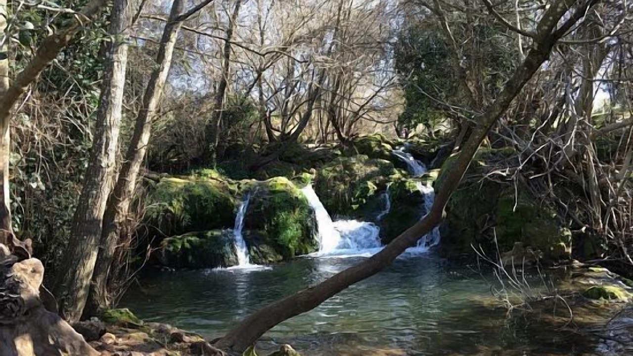 Photo of Outdoor in San Nicolas del Puerto