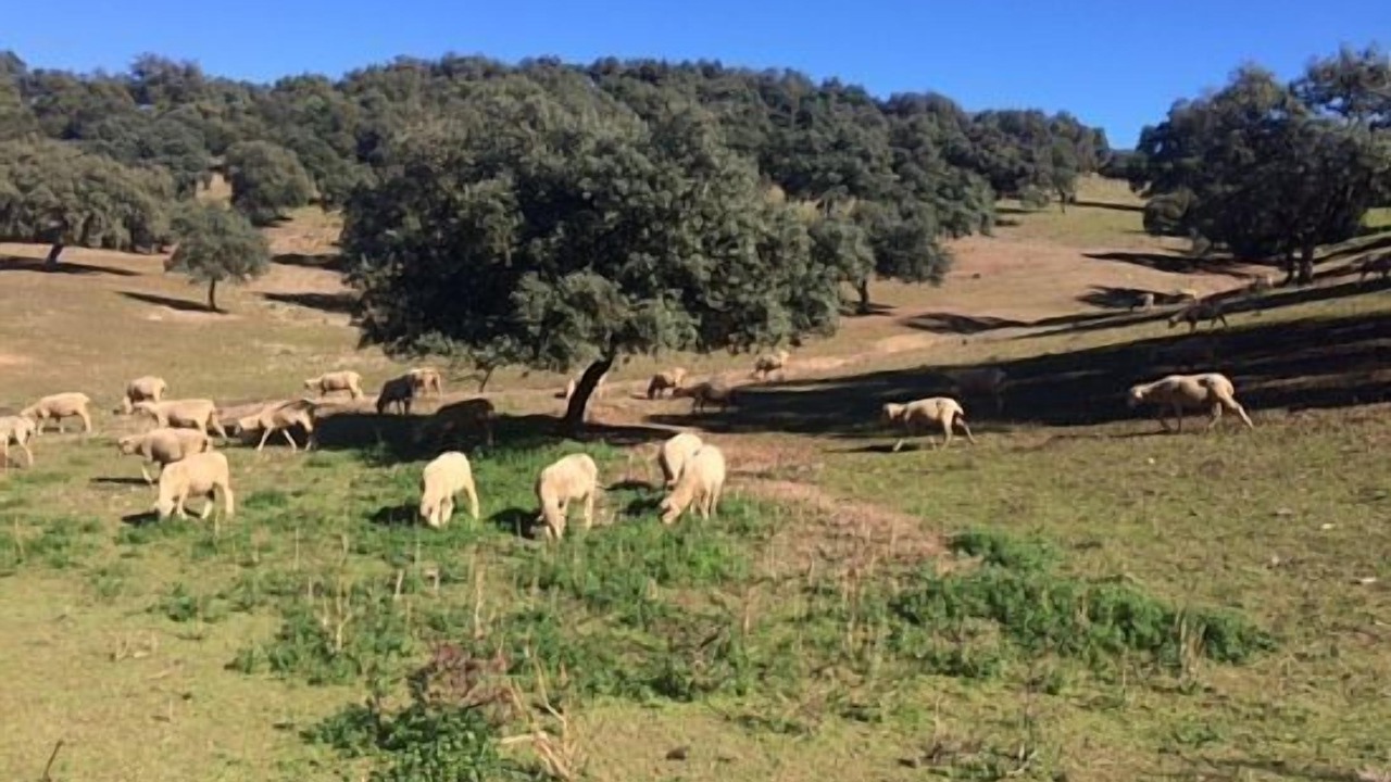 Photo of Outdoor in San Nicolas del Puerto