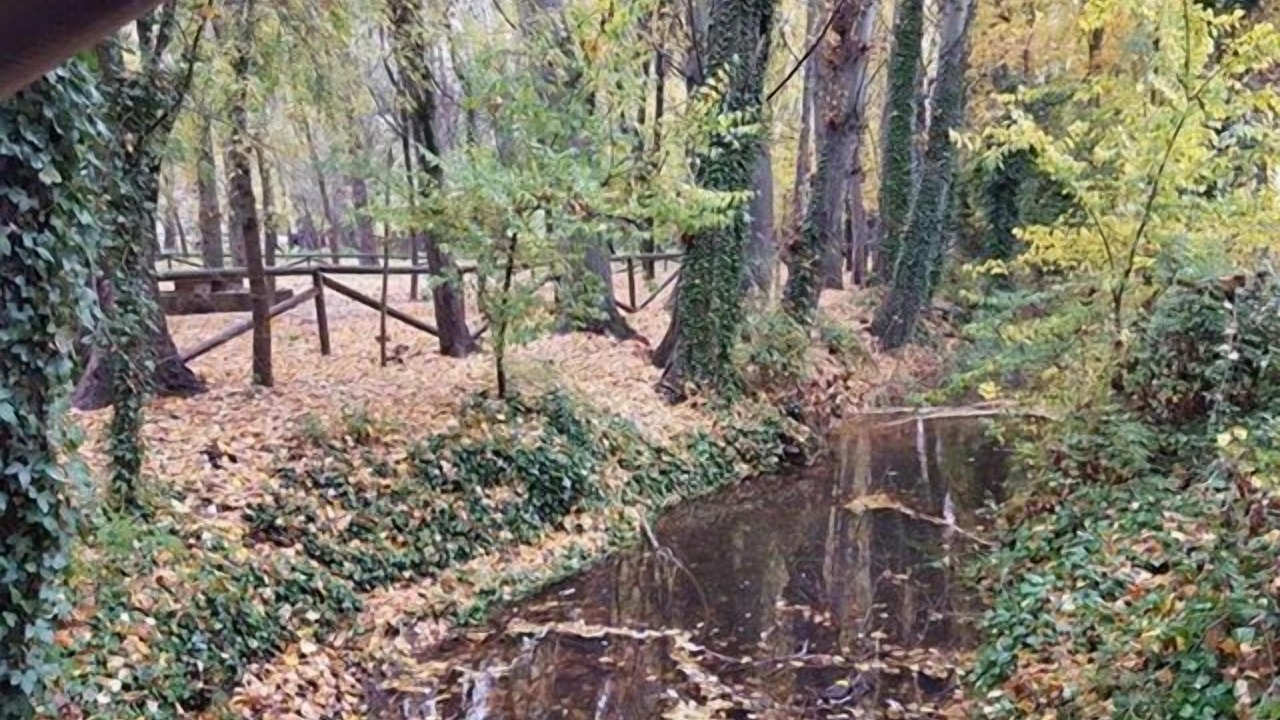 Photo of Outdoor in San Nicolas del Puerto