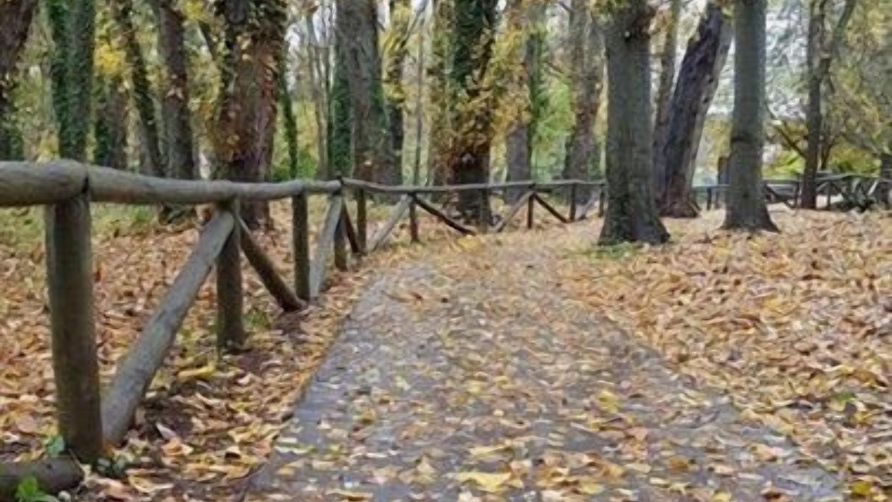 Photo of Outdoor in San Nicolas del Puerto