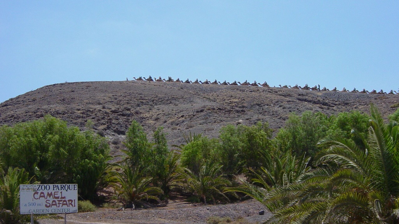 Photo of Outdoor in Bahia Calma