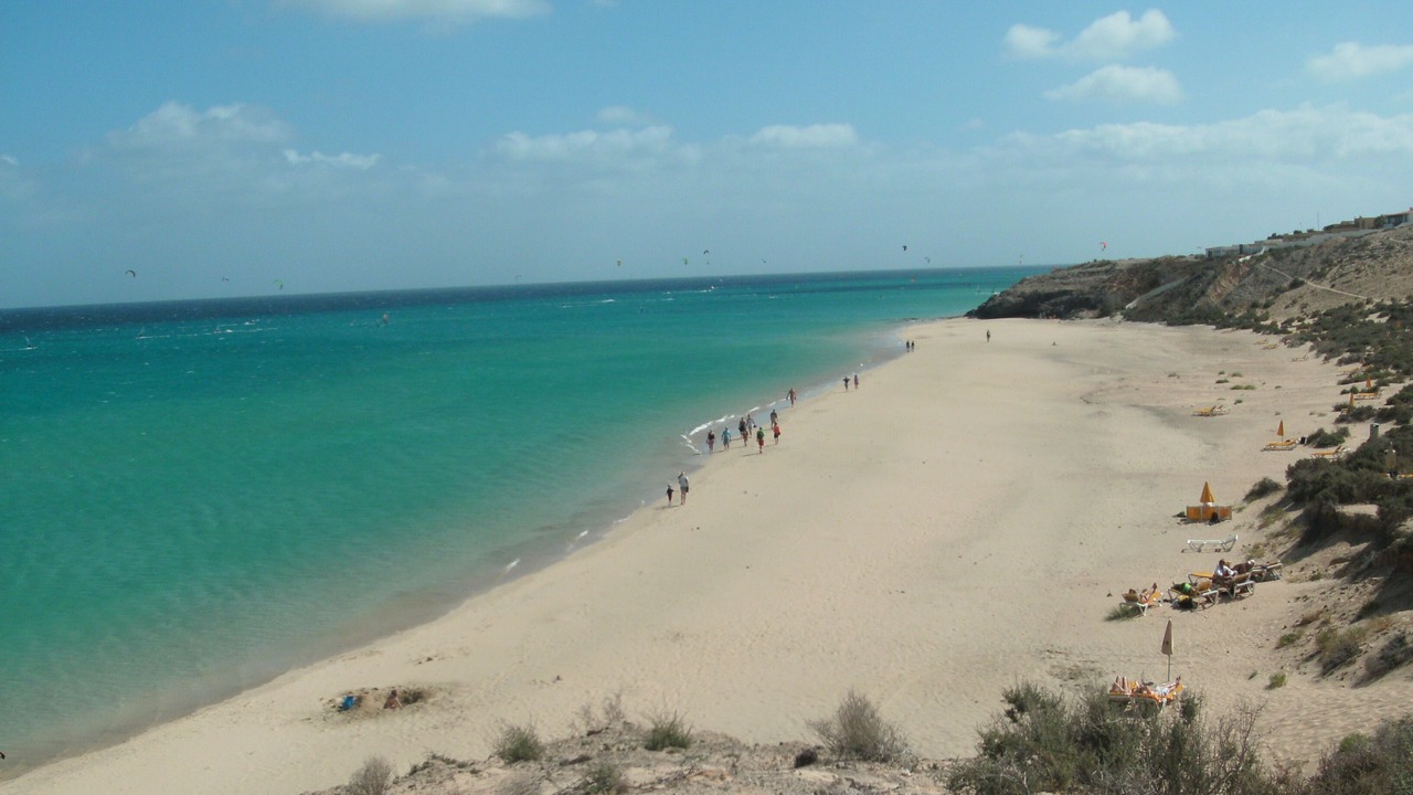 Photo of Others in Bahia Calma