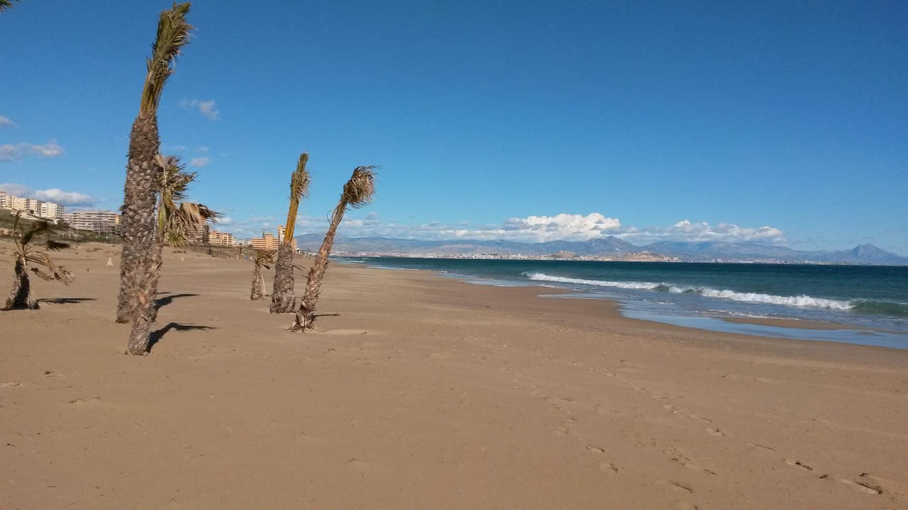 Photo of Others in Los Arenales del Sol