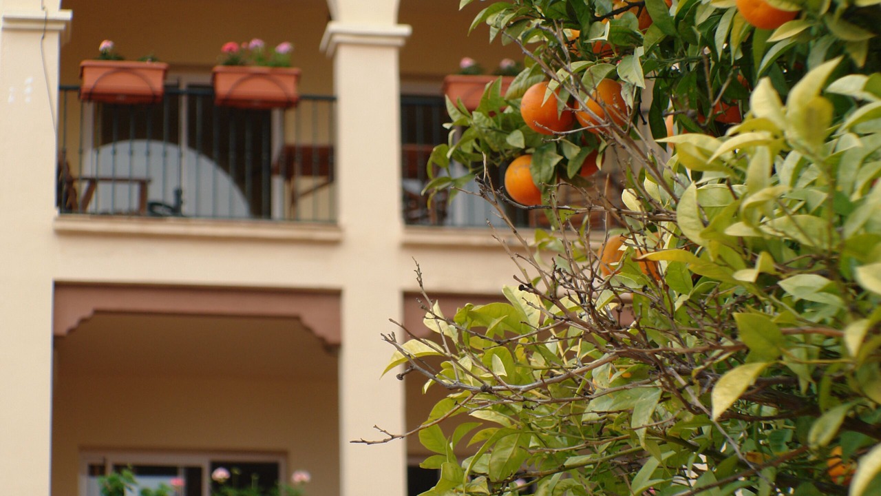 Photo of Outdoor in Nerja City Centre